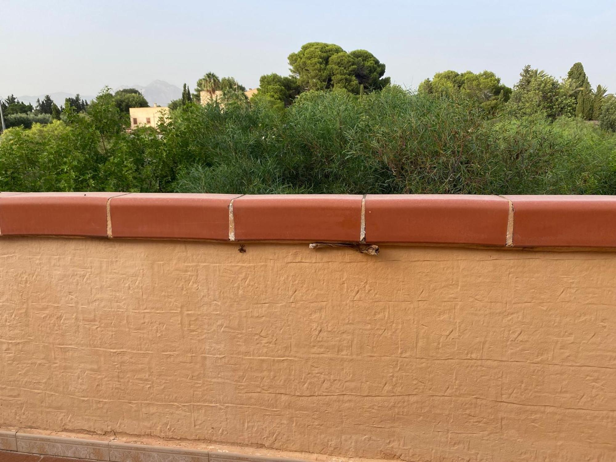 Vila Casa En La Huerta De Mutxamel Exteriér fotografie