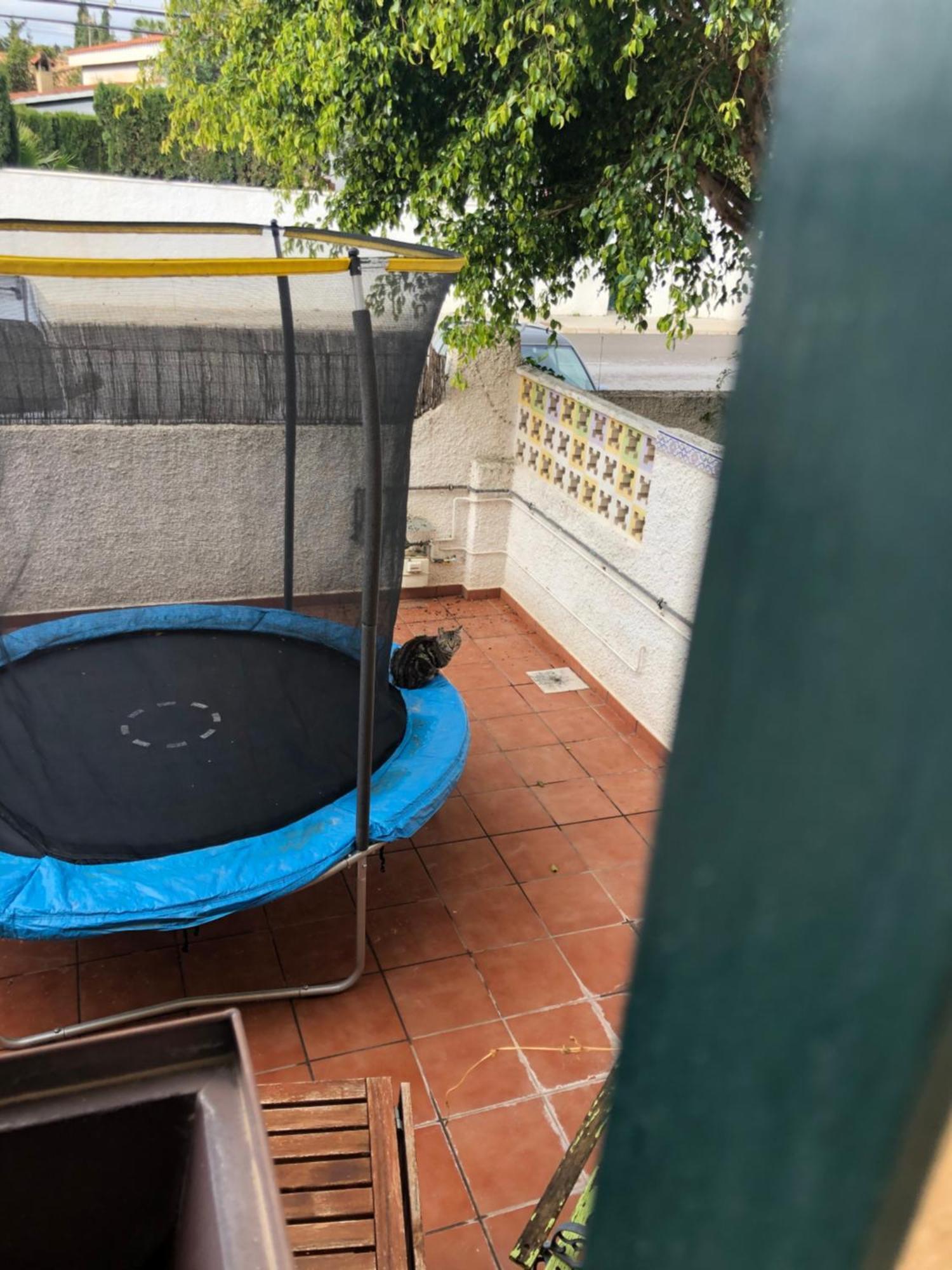 Vila Casa En La Huerta De Mutxamel Exteriér fotografie
